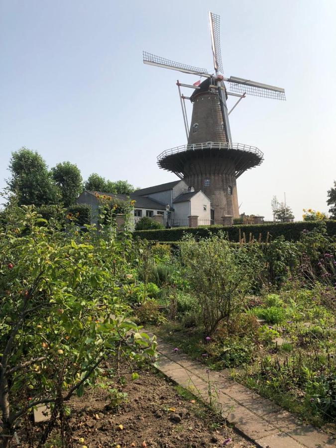 EwijkBlauwe Lelie别墅 外观 照片