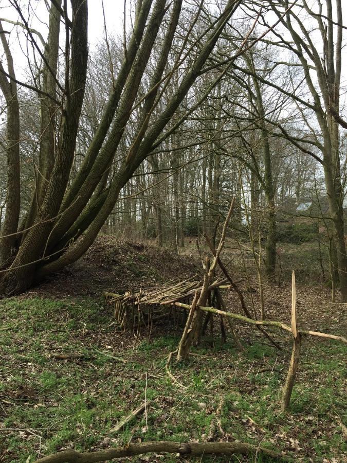 EwijkBlauwe Lelie别墅 外观 照片