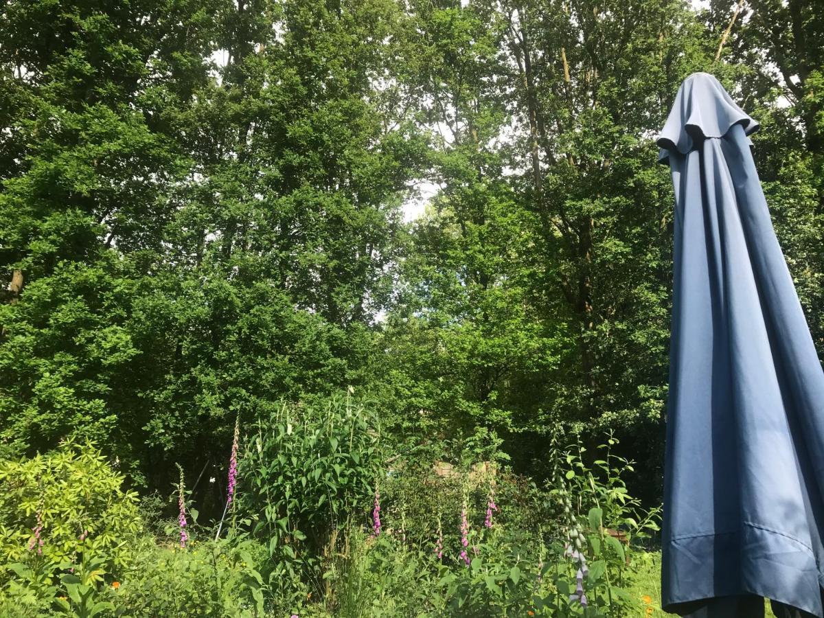 EwijkBlauwe Lelie别墅 外观 照片
