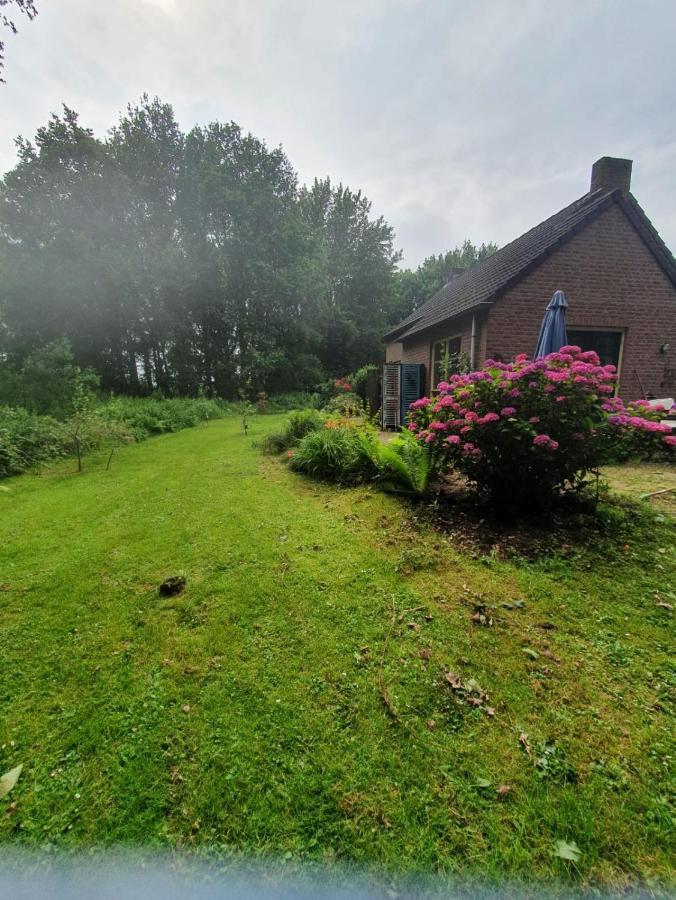 EwijkBlauwe Lelie别墅 外观 照片