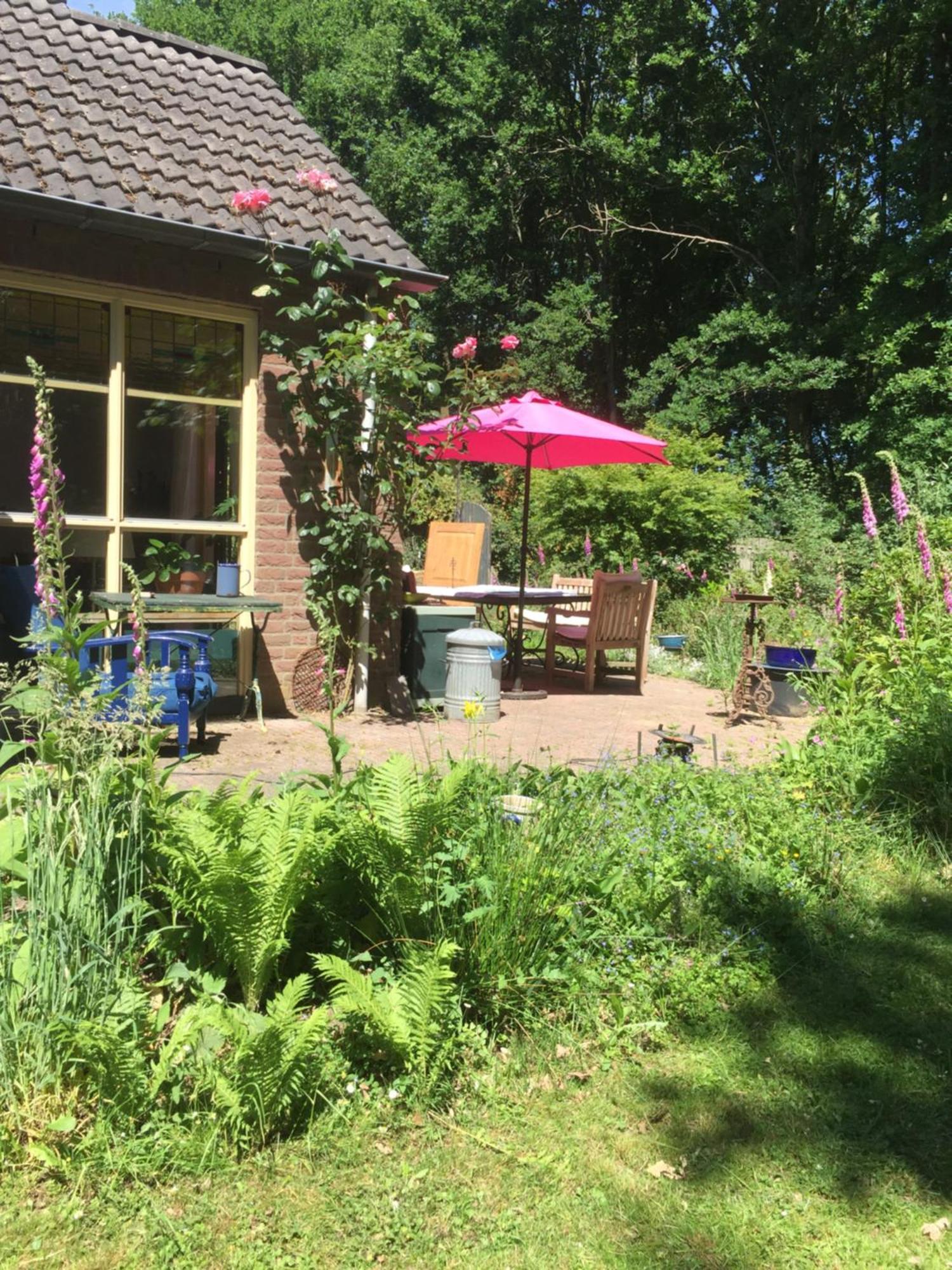 EwijkBlauwe Lelie别墅 外观 照片
